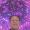 YEOH AN CHUAN