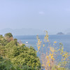 去远方