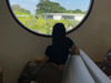 Dadayaya
