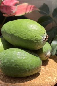 iLoveGZ 廣州華廈大酒店優惠