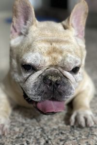 Honing 天閣酒店（台北士林館）優惠