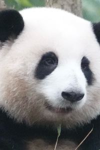 花花果賴 全季飯店（成都火車東站店）優惠