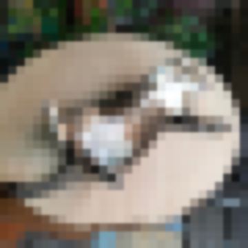 น้องแงวพาเที่ยว