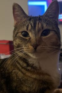 Hailey429 馬克西姆巴黎歌劇院酒店優惠