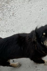 KH123 巴徹勒山鎮TownePlace Suites 飯店優惠