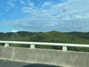 Carcarchen