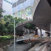 港女周圍貢