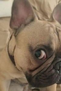 CLC5796 金馬侖高原世紀松園度假村優惠