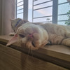 https://ak-d.tripcdn.com/images/0a2382215e3bww10g046B.jpg