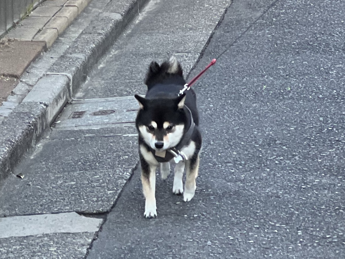 markwu