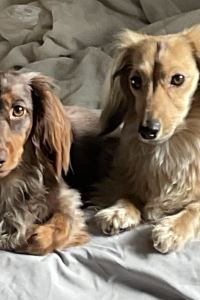 Y.Puku 東京巨蛋飯店優惠