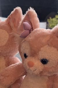 わーーい とれとれヴィレッジ クーポン
