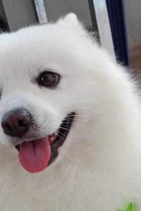 Suchada2023 希爾頓倫敦肯辛頓飯店優惠