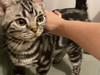 。。。。0709