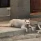 취미 여행