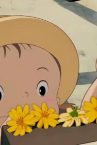 Iris__ 花蓮堤米亞民宿優惠