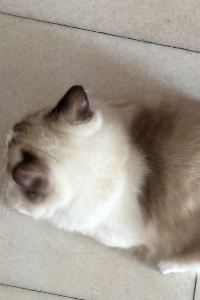 Sophia O. 親切午夜飯店優惠