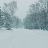 Color Portray