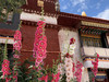 Ying_ལྷ་སའི་བུ་མོ