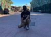 _GG***19
