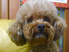 Eddie0510