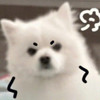 Display name111