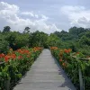 Avatar 2