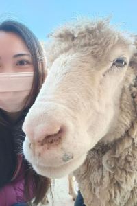 ReginaLiu 桃園中壢伯爵商務旅店優惠