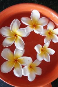 ¡Buen Camino! 三條PIECE青年旅館優惠