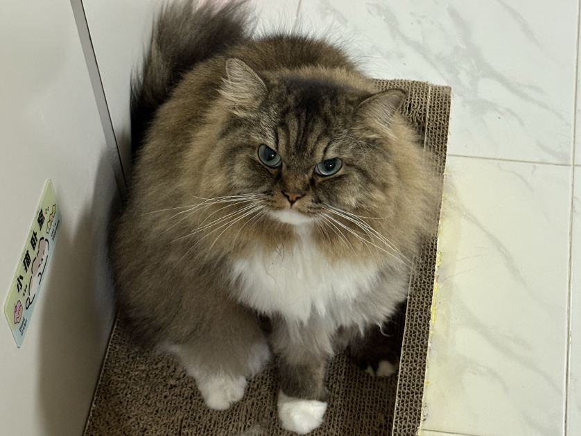 taionki