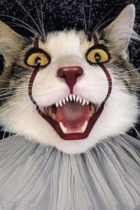 Cat_s_One 雲林斗六華安大飯店優惠