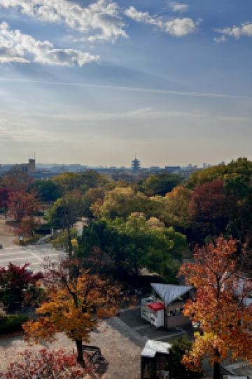 Beezeebee 山鹿温泉 清流荘 クーポン