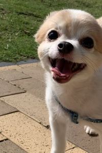 小白的朋友 香港朗逸酒店優惠