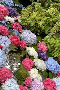 あんちゃんだよ 新堂彩虹飯店優惠