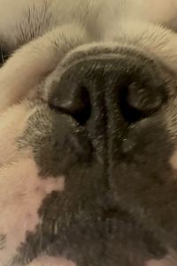 vonzrrオタク Rakuten STAY Atami優惠