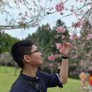 Tony PEI