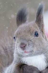 tomo＊ 京急 EXイン横浜駅東口 クーポン