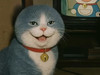 Assfghjkl