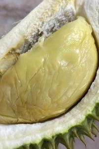 Peacefulwoman 柔佛季節酒店優惠