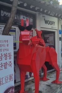 AussieNomad 仁川機場皇家商場飯店優惠