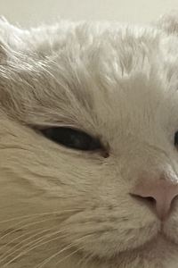 m_travelrecord._.M 天空花園飯店明洞1號店優惠