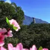 Avatar 2