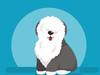 Simsimsim