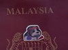 TravelerTugou