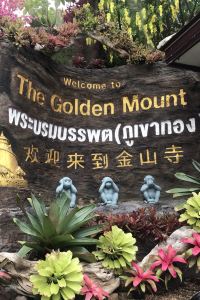 Jeremy53 호텔 헤드원 쿠폰