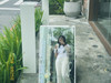 Genevieve_jing
