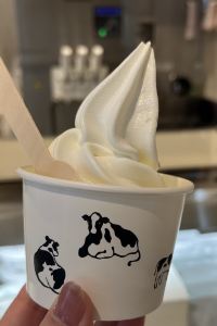 きのこ19 ホテルアマネク旭川　展望浴場「四季の湯」 クーポン