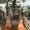 Smarty_traveller