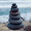 Avatar 1