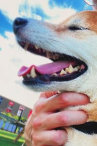 正直的十一 下呂溫泉 湯之島館優惠